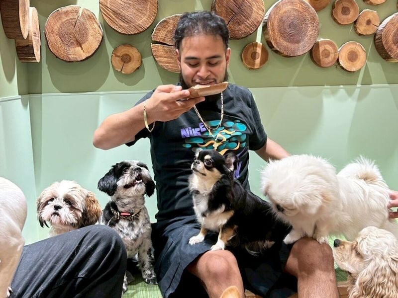 Play with Dogs at Dog Cafe Rio Shinjuku [Dog Cafe Rio Shinjuku] - What your 30, 45 or 60 minutes look like