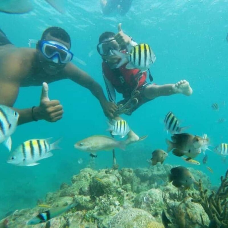 Playa Blanca: Day trip with snorkeling and raccoon sighting - Playa Blanca: Day trip with snorkeling and raccoon sighting