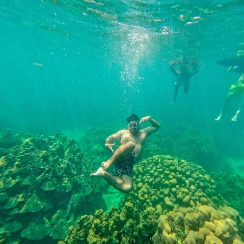 Playa Blanca: Day trip with snorkeling and raccoon sighting - The Sum Up