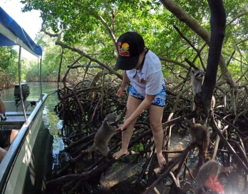 Playa Blanca: Daytour with Snorkeling and Racoon Sighting - A Detailed Look at the Playa Blanca Daytour