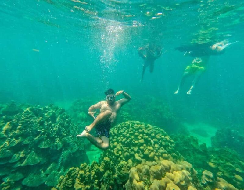 Playa Blanca: Daytour with Snorkeling and Racoon Sighting - FAQ