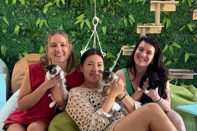 Playa Conchal 90 min Kitty Cat Cuddle Session - Key Points