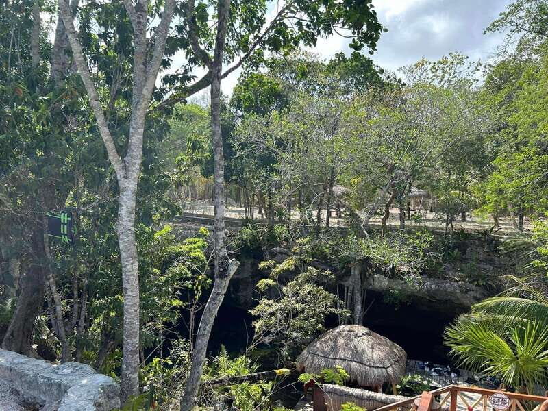 Playa del Carmen: 3 Cenotes & 1 Lagoon - Who Is This Tour Best Suited For?