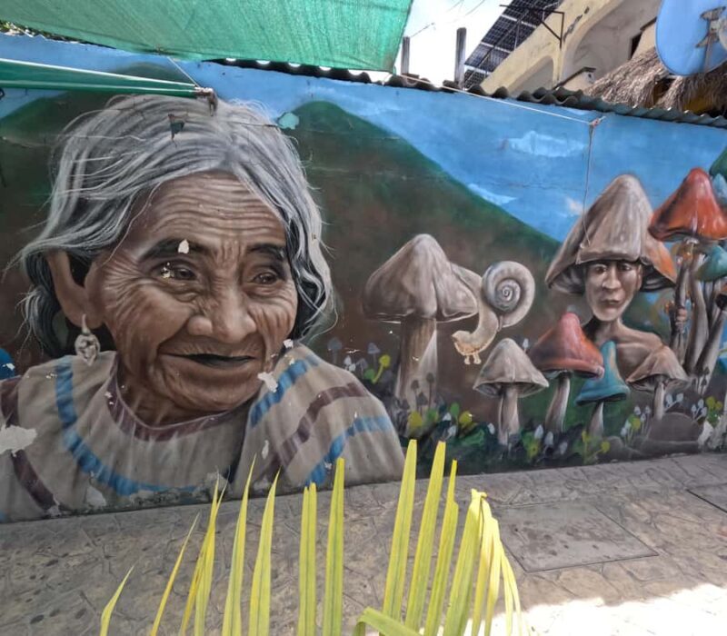 Playa del Carmen: A Sensory Tour Through Mexico's Culinary Memory - Key Points