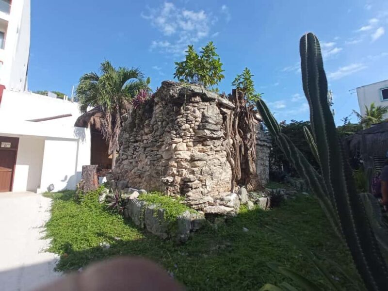 Playa del Carmen: A Sensory Tour Through Mexico's Culinary Memory - Who Should Consider This Tour?