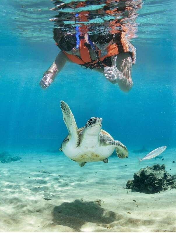 Playa del Carmen: Akumal Turtle Swim & Underground Cenote - Practical Tips for Your Tour