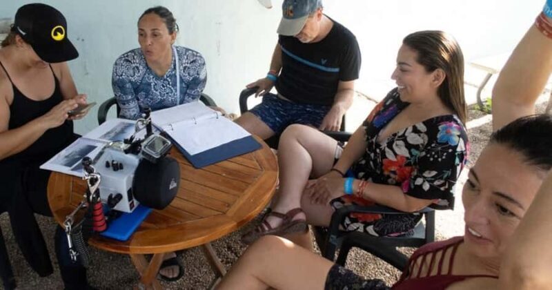 Playa del Carmen: Bull Shark Encounter - Playa del Carmen: Bull Shark Encounter