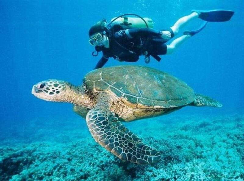 Playa del Carmen: Cenote Diving for Certified Divers - FAQ