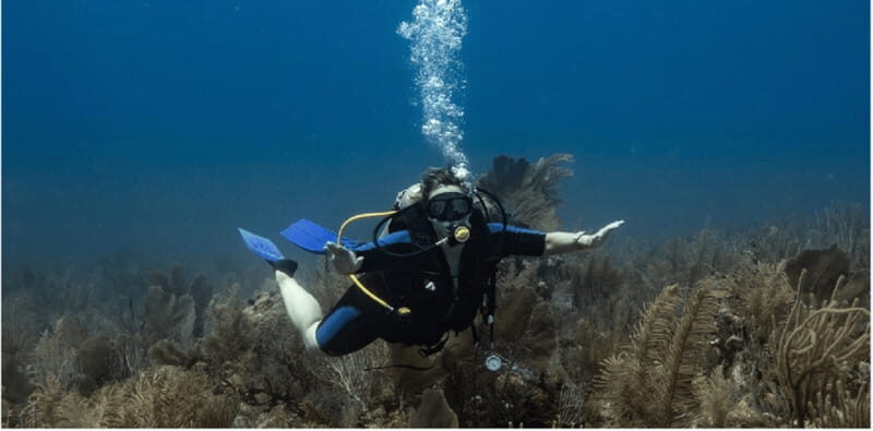 Playa del Carmen: Discover Scuba Diving - Playa del Carmen: Discover Scuba Diving — A Practical Guide for Beginners