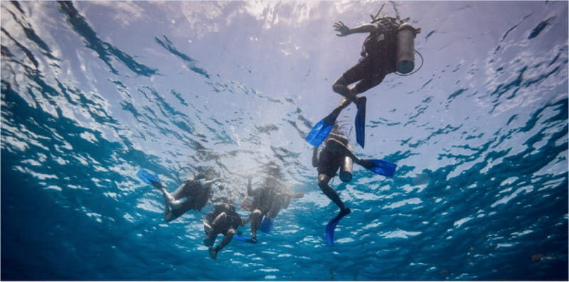 Playa del Carmen: Discover Scuba Diving - The Complete Itinerary in Detail