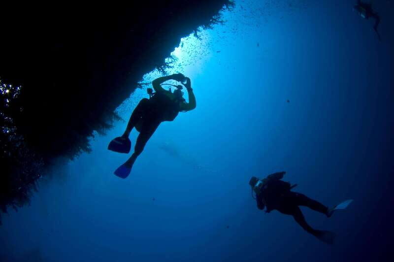 Playa del Carmen: Dive into our Local Reefs Today! - FAQ