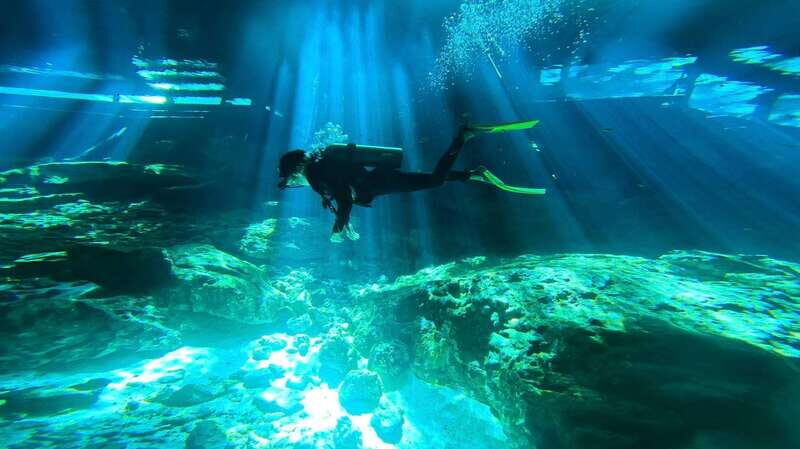 Playa del Carmen: Dos Ojos Cenote 2 scuba dives without tran - An In-Depth Look at the Dos Ojos Cenote Tour