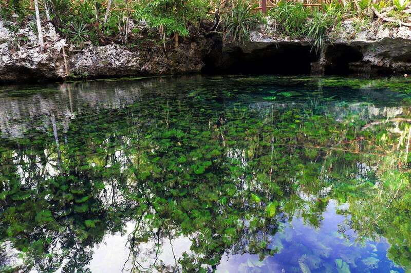 Playa del Carmen: Dual Realm Diving (Cenote + Reef Diving) - The Sum Up: Is this tour a good choice?