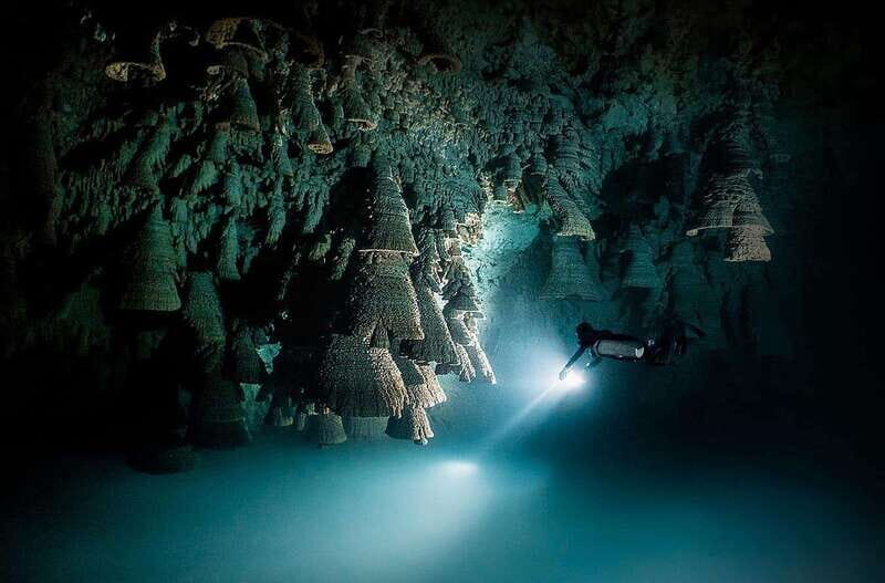 Playa del Carmen: Explore the Surreal World of Cenote Diving - Frequently Asked Questions