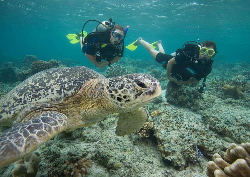 Playa del Carmen: Extreme Cozumel Diving by Speed Boat - Playa del Carmen: Extreme Cozumel Diving by Speed Boat