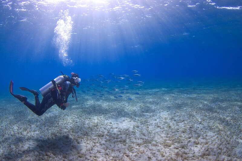Playa del Carmen: Extreme Cozumel Diving by Speed Boat - FAQ