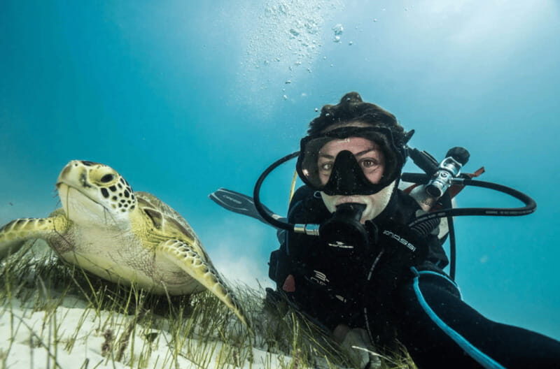Playa del Carmen: Guided Reef Diving for Certified Divers - A Closer Look at What Youll Experience
