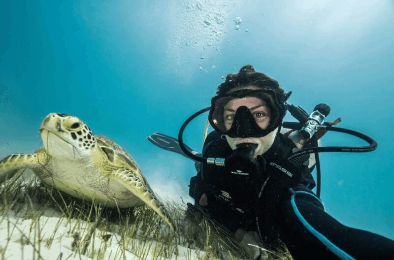 Playa del Carmen: Guided Reef Diving for Certified Divers - Final Thoughts