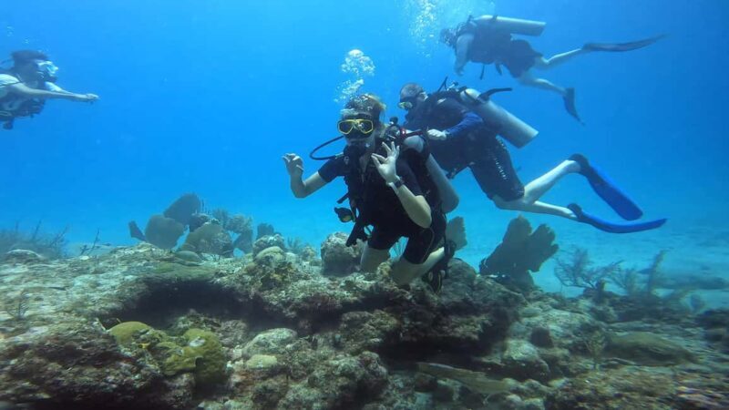 Playa del Carmen: Introductory Scuba Diving at Coral Reefs - A Closer Look at What You Can Expect