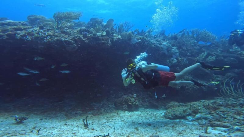 Playa del Carmen: Introductory Scuba Diving at Coral Reefs - In-Depth Review: Is It Worth It?