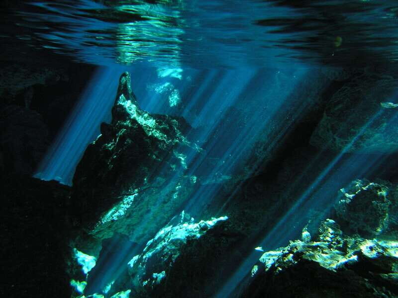 Playa del Carmen: Mind-Blowing Diving at Cenote Dos Ojos - Who Should Consider This Tour?