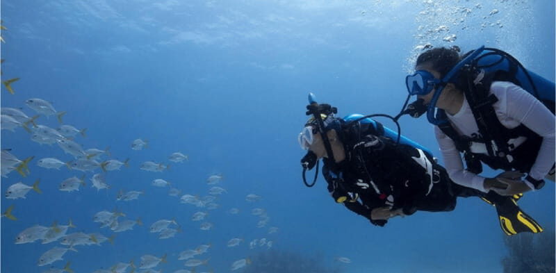 Playa del Carmen: Ocean Dive Tour - In-Depth Review of Playa del Carmens Ocean Dive Tour