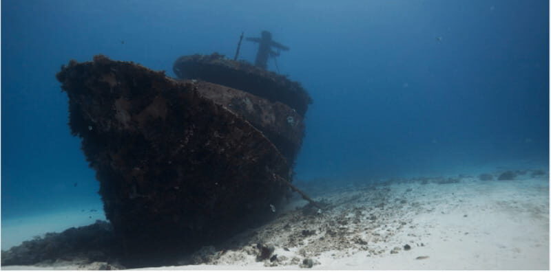Playa del Carmen: Ocean Dive Tour - Frequently Asked Questions