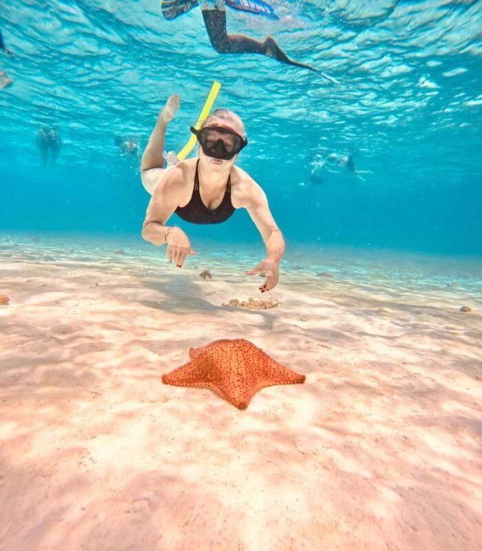 Playa del Carmen: On Board to Cozumel Tour with Lunch - Key Points