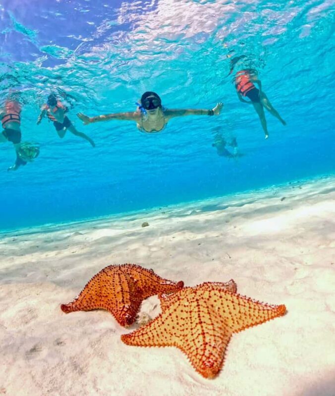 Playa del Carmen: On Board to Cozumel Tour with Lunch - Frequently Asked Questions