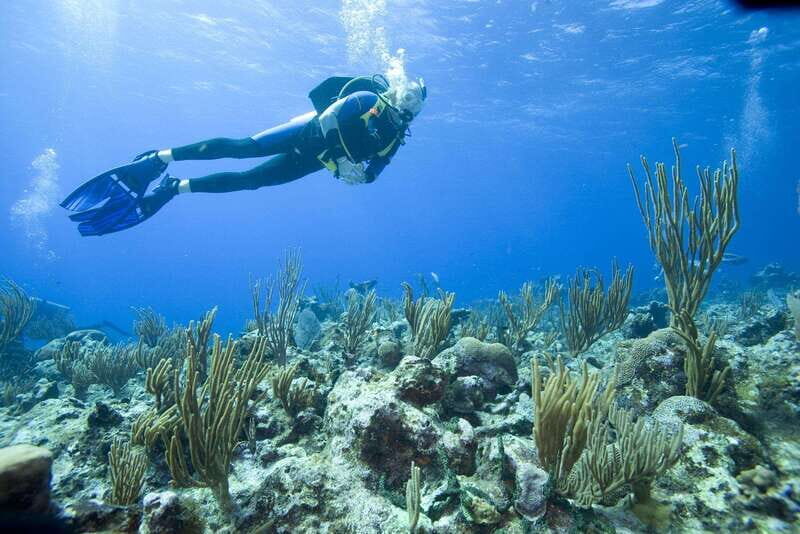 Playa del Carmen: PADI Advance Open Water in Riviera Maya - FAQ