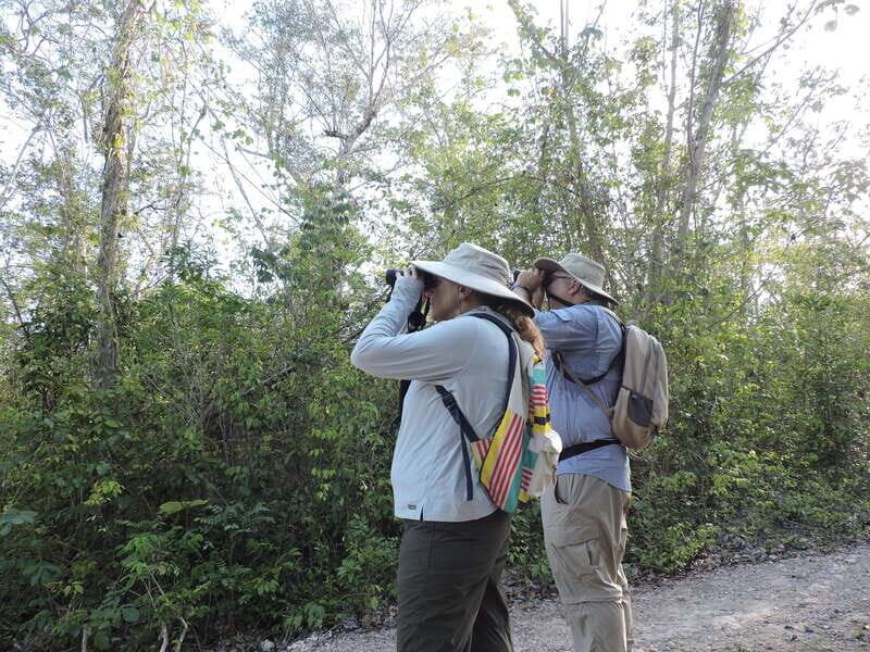 Playa del Carmen: Private Morning Birdwatching Tour - Who Will Love This Tour?