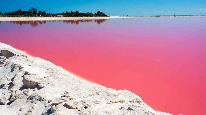 Playa del Carmen: Rio Lagartos and Las Coloradas Tour - Who Is This Tour Best For?