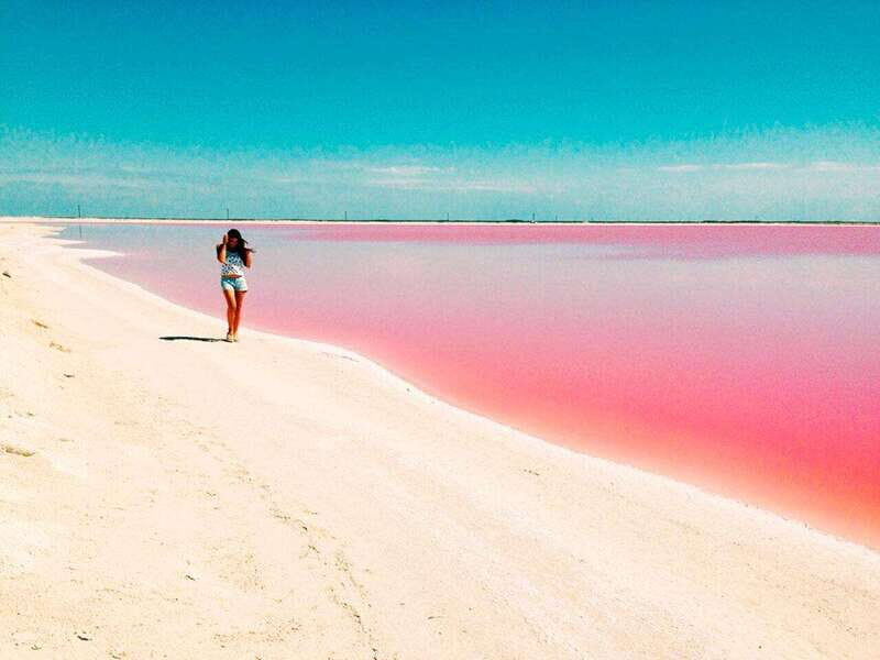 Playa del Carmen: Rio Lagartos and Las Coloradas Tour - FAQ