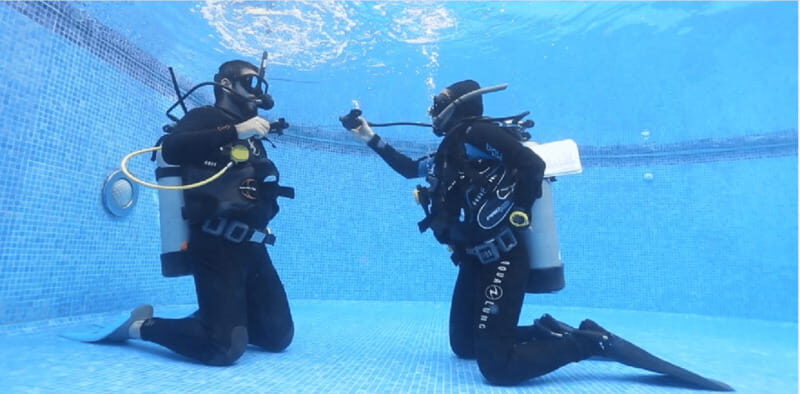 Playa del Carmen: Scuba Diver Certification Course - Frequently Asked Questions