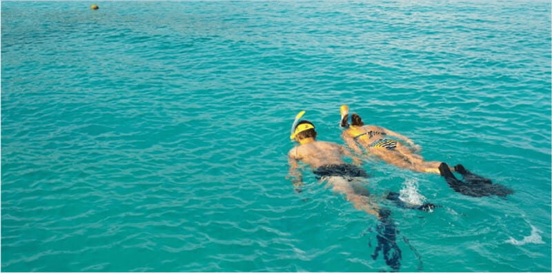 Playa del Carmen: Snorkel Tour at Local Reef - The Experience: What You Can Expect