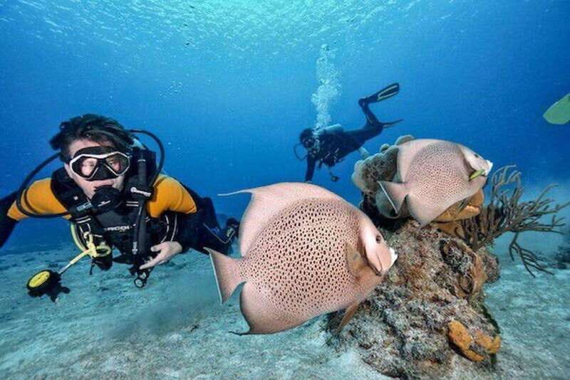 Playa del Carmen: Try Scuba Diving - No Experience Required - Frequently Asked Questions