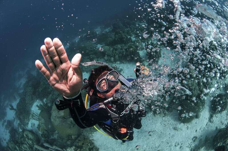 Playa del Carmen: Ultimate PADI Open Water Diver Experience - Playa del Carmen: Ultimate PADI Open Water Diver Experience