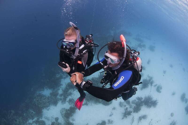 Playa del Carmen: Ultimate PADI Open Water Diver Experience - Pricing and Value Analysis