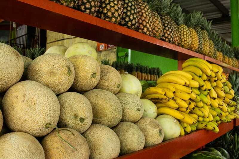 Playa del Carmen: Vegan Food Walking Tour - A Deep Dive into the Playa del Carmen Vegan Food Walking Tour