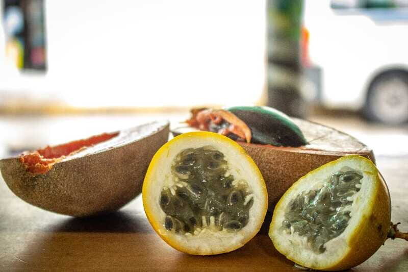 Playa del Carmen: Vegan Food Walking Tour - The Sum Up