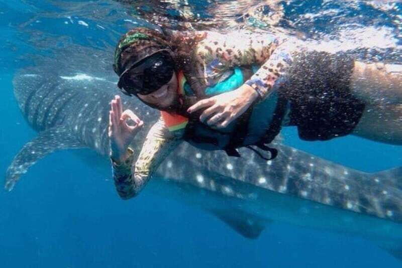 Playa del Carmen:Whale shark Experience in the Caribbean Sea - Exploring the Tour Details