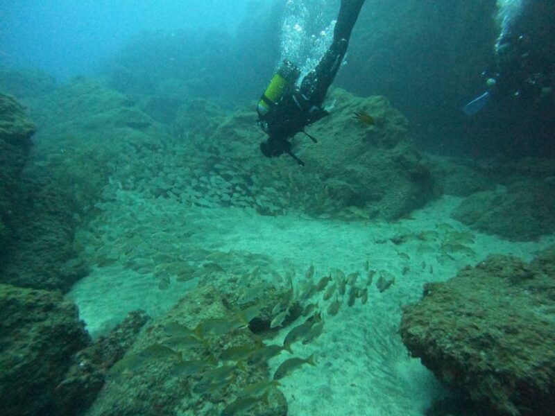 Playa Del Ingles: Discover Scuba Diving - Free Transfers - Playa Del Ingles: Discover Scuba Diving - Free Transfers