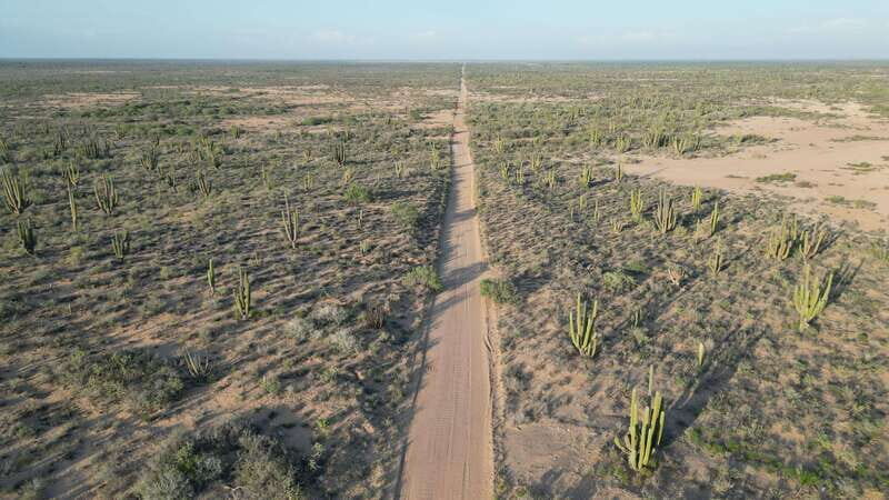 Playa el Cardonal: tour and sandboarding activity in the dunes of Sahuimaro - Exploring Playa el Cardonal and Sahuimaro Dunes: An Authentic Desert-Coast Adventure
