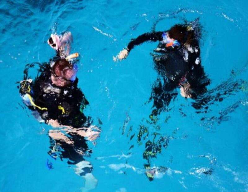 Playa: Night Dive - An In-Depth Look at the Playa: Night Dive Experience