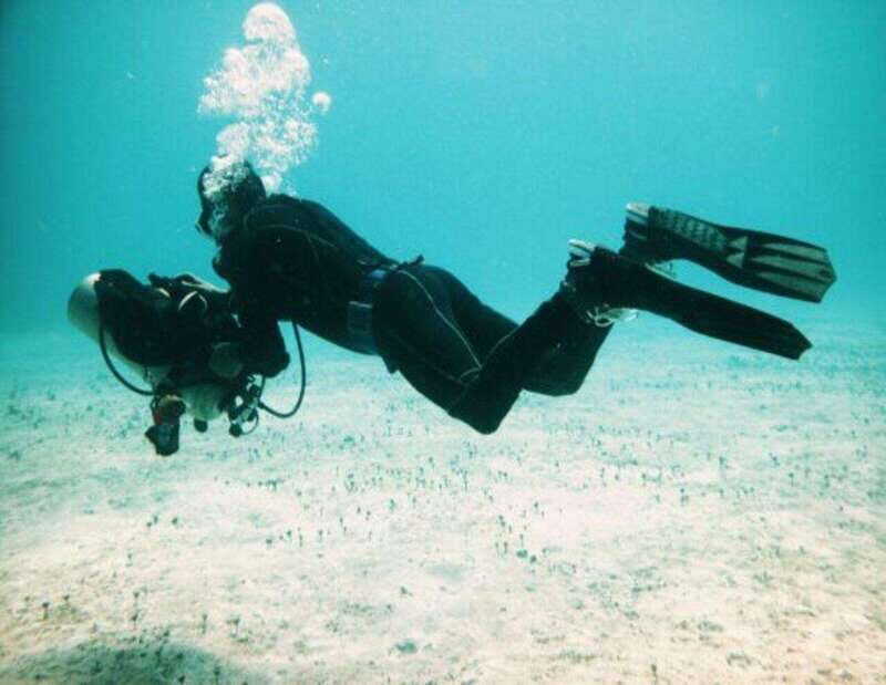 Playa: PADI Dive Master - The Sum Up