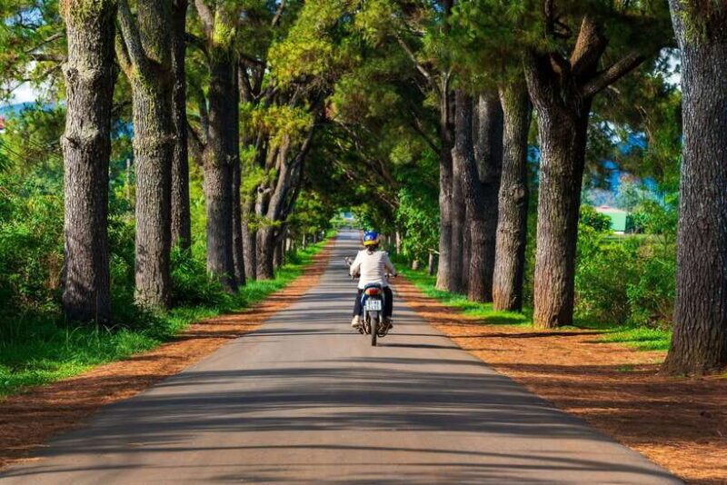 Pleiku: Culture, Landscape and Culinary Tour with Pickup - Exploring Pleiku: Culture, Landscape, and Culinary Delights