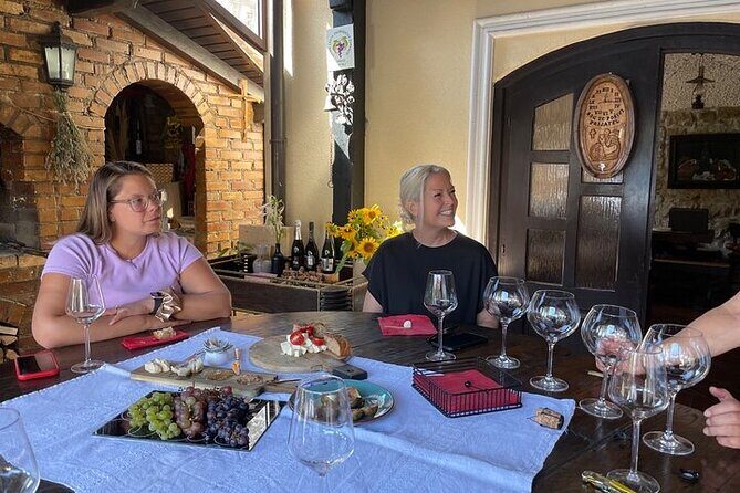 Plesivica countryside Wine Tasting - The Sum Up