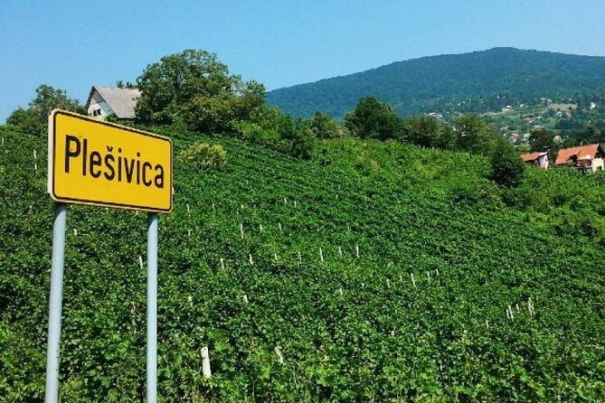 Plesivica Region Wine Tasting Half-day Tour - Key Points