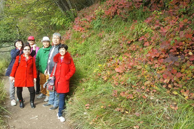 Plitvice Lakes and Rastoke Private Day Tour from Zagreb - Who Is This Tour Best For?