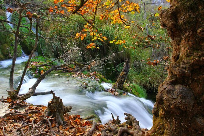 Plitvice Lakes 'Best of' Tour - Frequently Asked Questions